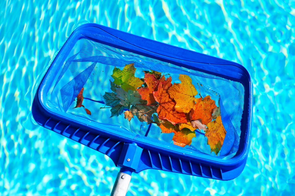fall pool cleaning fall pool cleaning